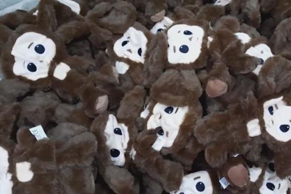 Из Китая в Россию пытались нелегально ввезти почти 1200 Чебурашек - Фото 1