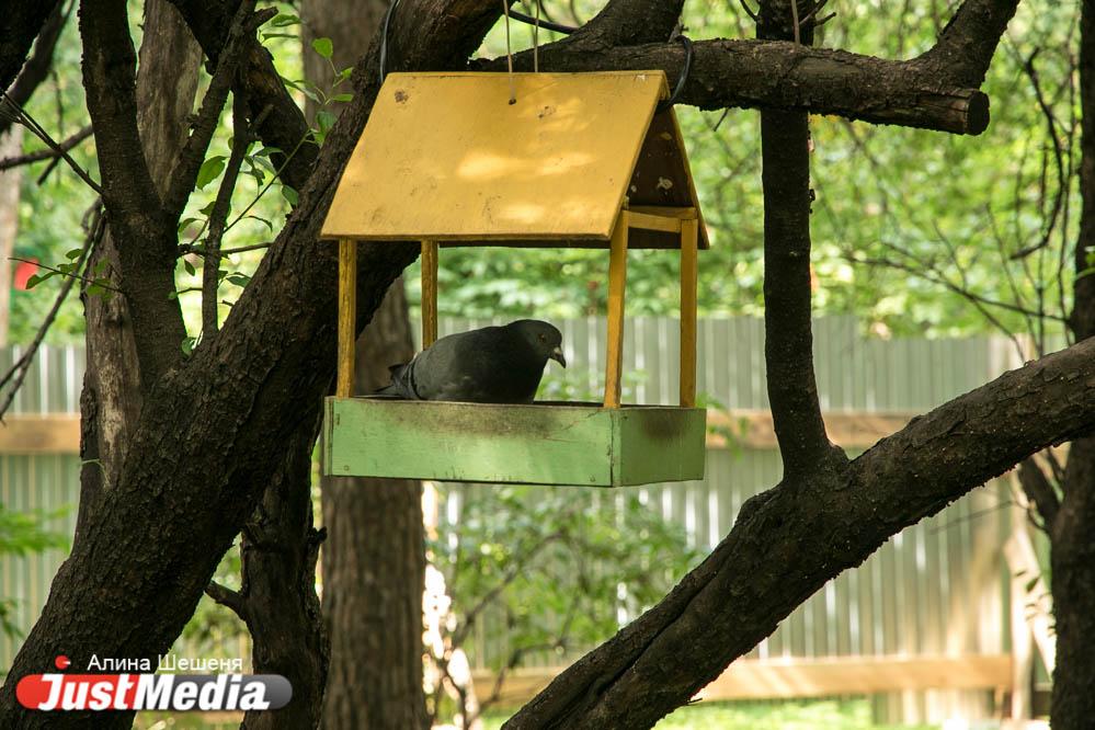 За три дня за федеральное финансирование объектов благоустройства проголосовали 40 тысяч свердловчан - Фото 1
