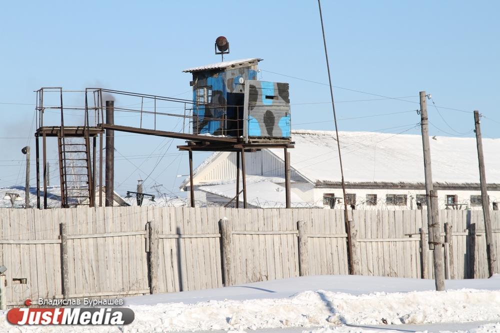 На Урале заключенная делала минет помощнику прокурора в обмен на помощь с УДО - Фото 1