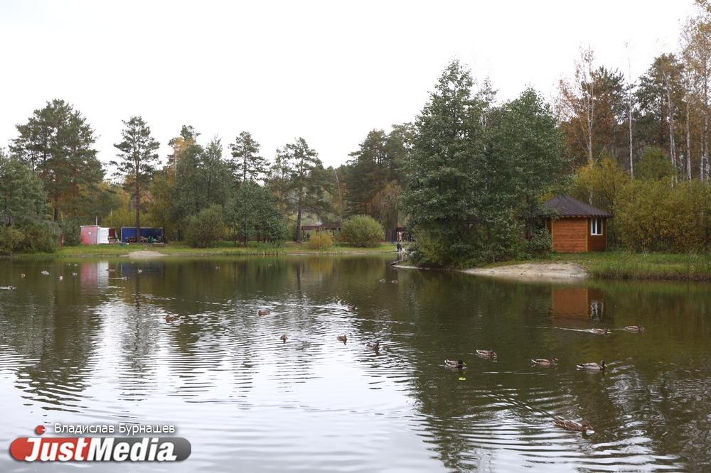 В голосовании по благоустройству Екатеринбурга приняло участие уже более 24 тысяч жителей - Фото 1