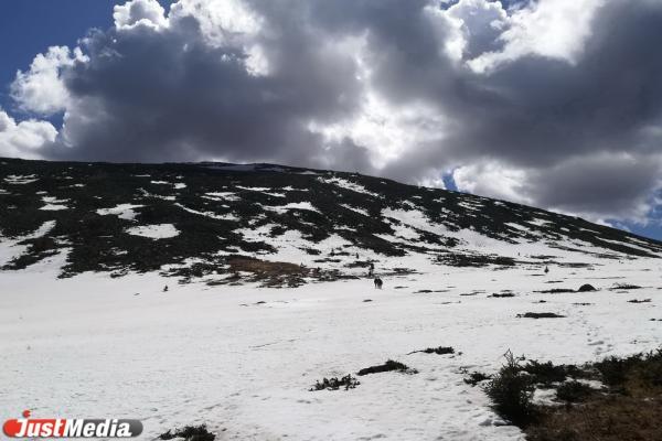 Женщина и ее сын-подросток из Екатеринбурга сорвались со скалы в Сочи - Фото 1