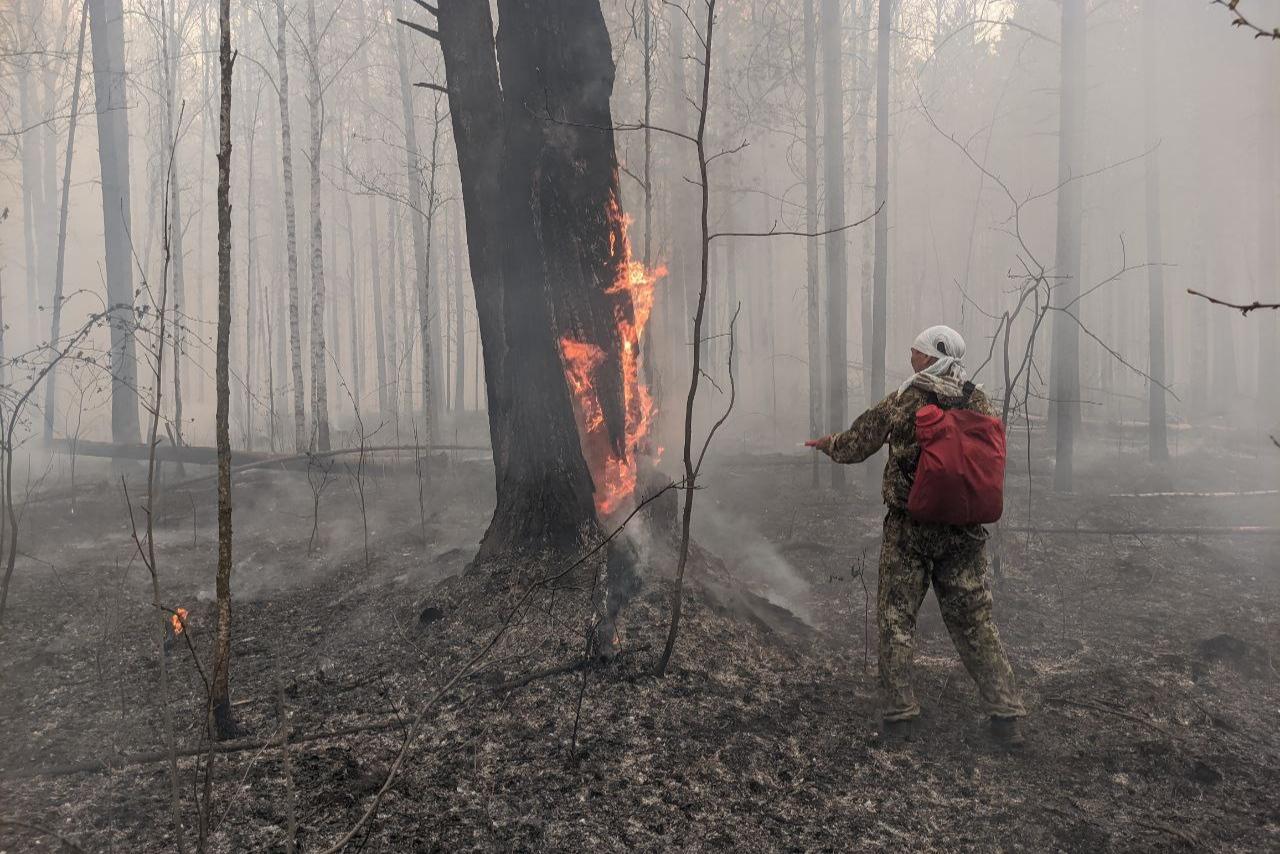 В Свердловской области горит более 47 тысяч гектаров леса - Фото 1