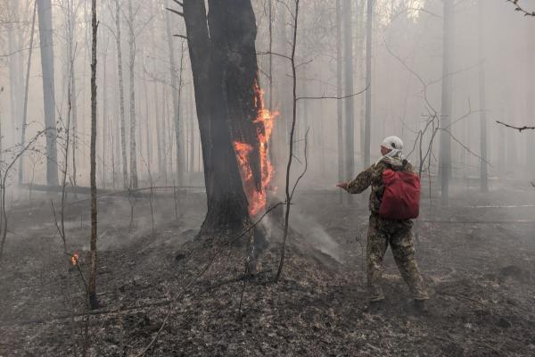 В Свердловской области горит более 47 тысяч гектаров леса