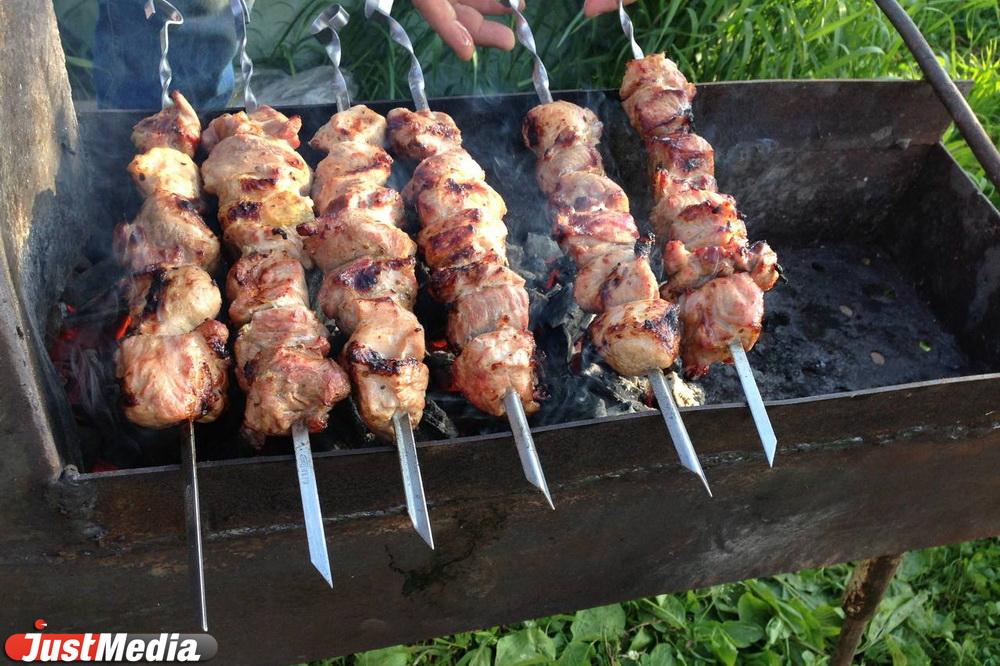 За праздники в Свердловской области выписали более 200 штрафов за нарушение противопожарного режима - Фото 1