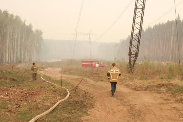 Евгений Куйвашев назвал чушью слухи о диверсиях в уральских лесах - Фото 1