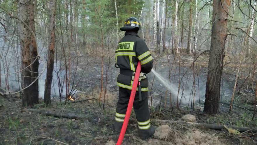 Пожарные поезда СвЖД принимают активное участие в борьбе с огнем в Свердловской, Тюменской областях и Пермском крае  - Фото 1