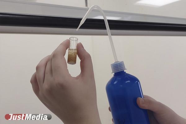 Эксперты наши в смертельном «Мистере Сидре» примести метанола и этилбутирата - Фото 1