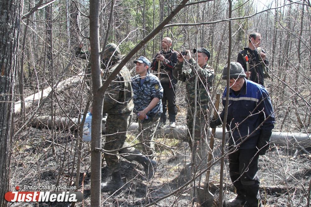 В Свердловской области потушили почти все лесные пожары - Фото 1
