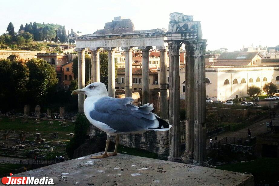 Историки нашли в Риме место убийства Юлия Цезаря - Фото 1