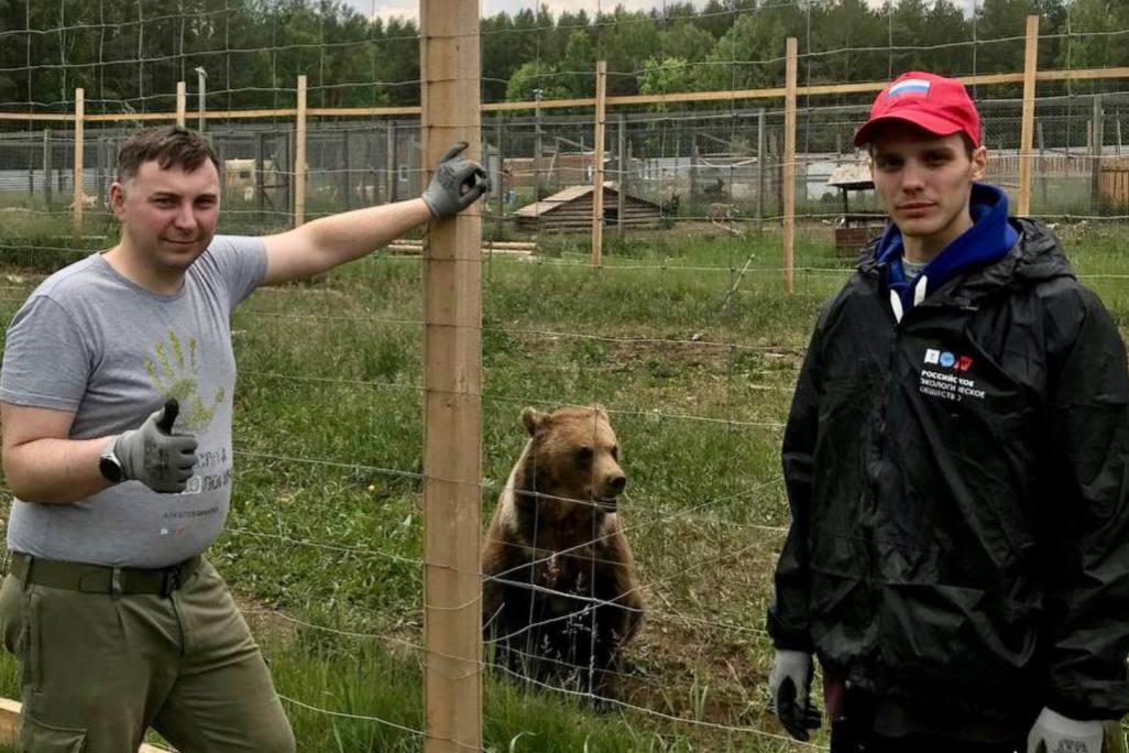Волонтеры построили вольер для медведицы в центре реабилитации животных «Альфа» - Фото 1