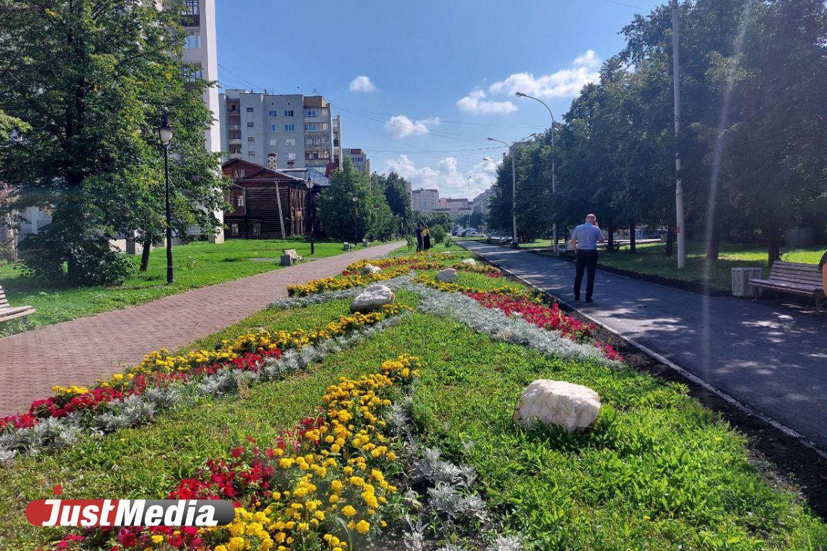 В сквере на Антона Валека обновят цветники и газоны - Фото 1