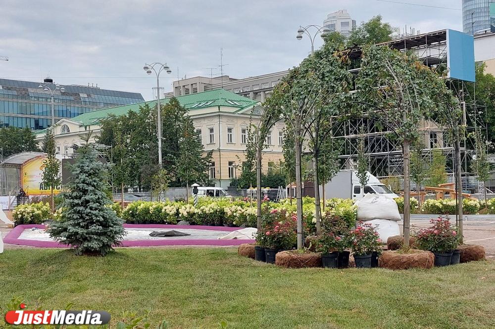 Главная парковка Екатеринбурга вновь превратилась в зеленый сад - Фото 1