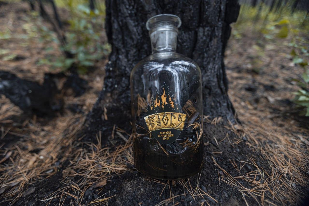 Настойку на сгоревших лесах выпустили на Урале - Фото 1