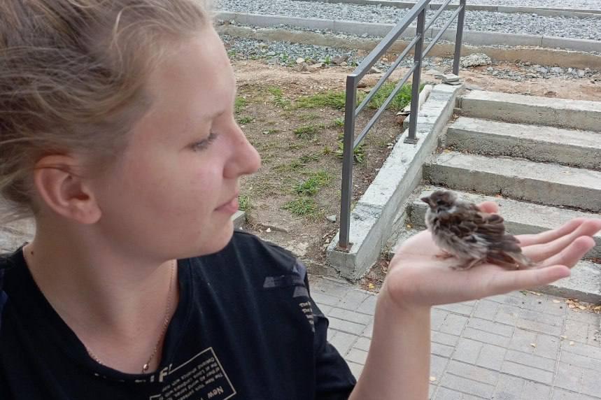 Свердловчанка спасла Джека воробья - Фото 1