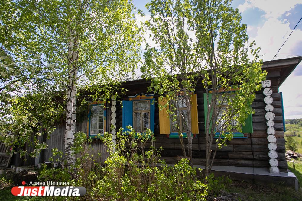 Как избавиться от хрена на участке - Фото 1