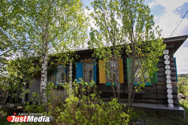 Как избавиться от хрена на участке