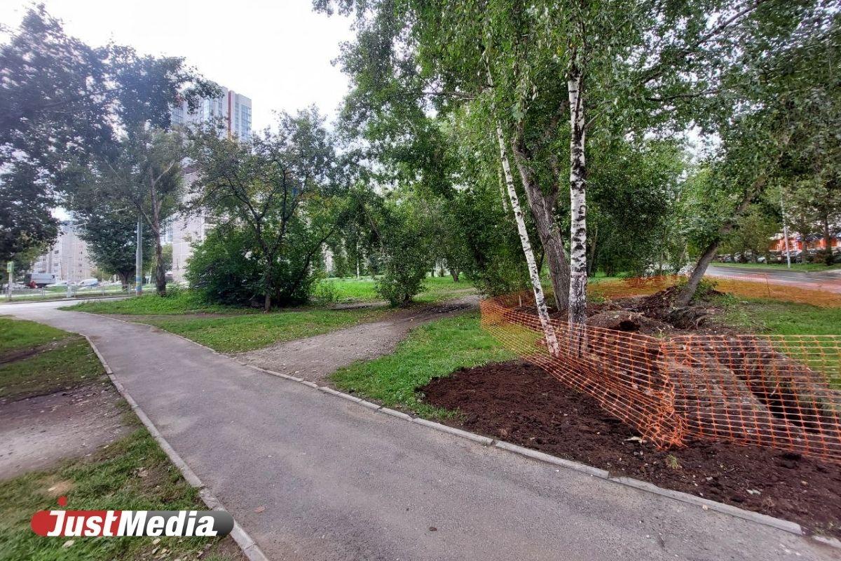 Власти Екатеринбурга планируют благоустроить сквер на Амундсена - Фото 1