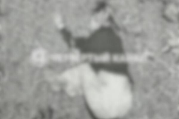 Появилось фото с места гибели 16-летней школьницы в Каменске-Уральском