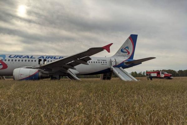 Медики осмотрели пассажиров севшего в поле «Боинга»