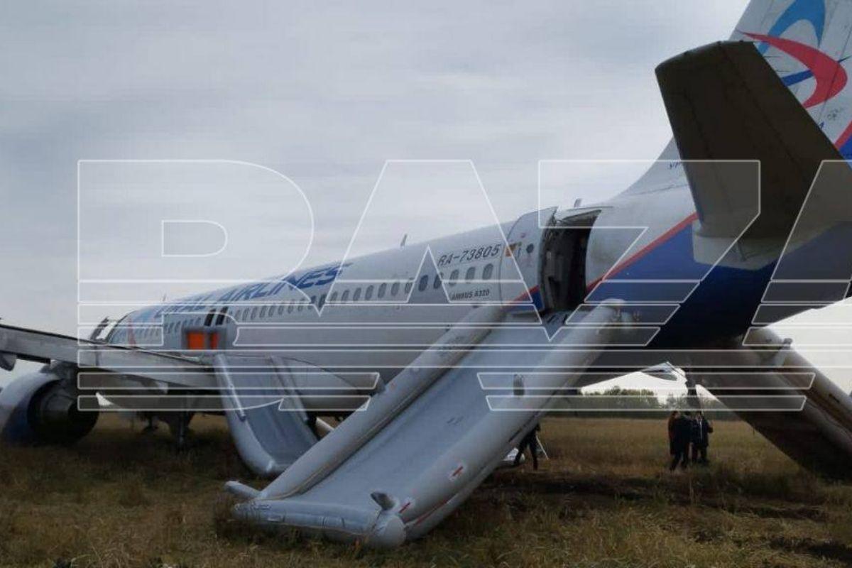 Подтвержден отказ гидросистем у приземлившегося в поле самолета - Фото 1