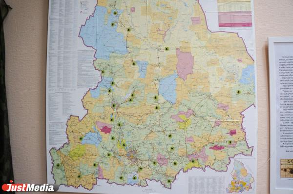 Свердловский Роспотребнадзор: «В 2023 году в регионе ожидается увеличение численности иксодовых клещей» - Фото 1