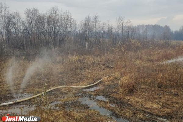  Крупный пожар в Солнечном не повлиял на здоровье екатеринбуржцев - Фото 1