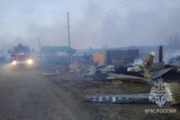 В селе Бызово под Нижним Тагилом огонь от горящей травы уничтожил несколько домов - Фото 1