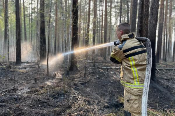 Площадь лесных пожаров в Свердловской области превысила 100 тысяч га - Фото 1