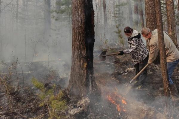 Площадь лесных пожаров в Свердловской области сократилась до 50 тысяч га - Фото 1