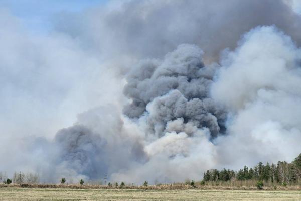 В Свердловской области снова увеличилась площадь лесных пожаров - Фото 1