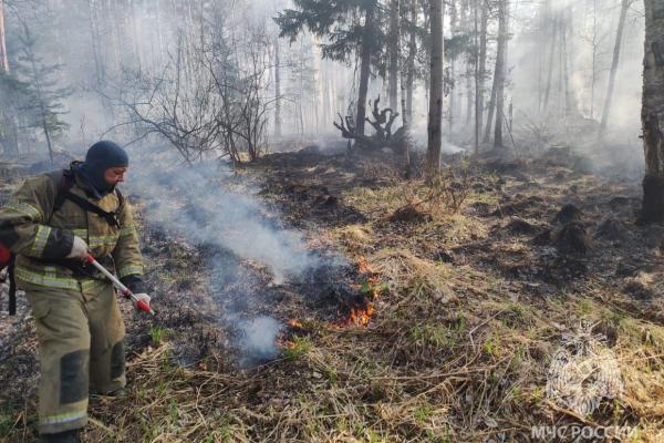 В Свердловской области площадь лесных пожаров увеличилась почти в два раза - Фото 1
