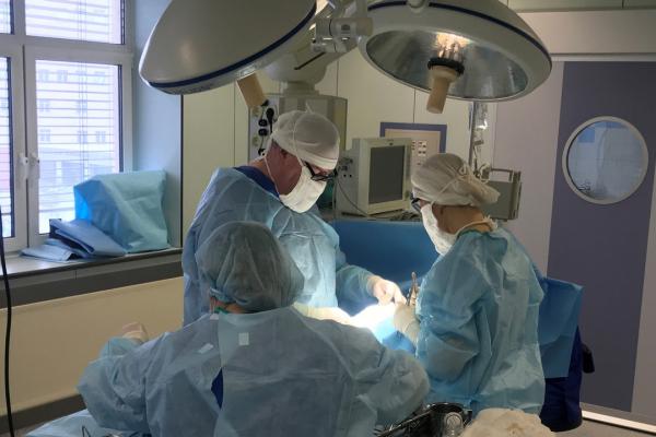 Свердловские хирурги-онкологи удалили полуторогодовалой малышке опухоль весом более двух килограммов - Фото 1