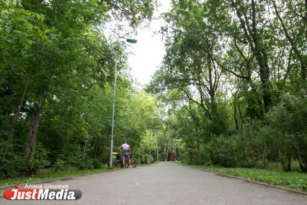 В голосовании за объекты благоустройства приняло участие рекордное число свердловчан - Фото 1