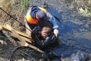 В Челябинской области женщина едва не погибла в болоте с битумом, спасая козу