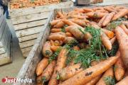 В Ленобласти годовалый ребенок умер, подавившись морковью 