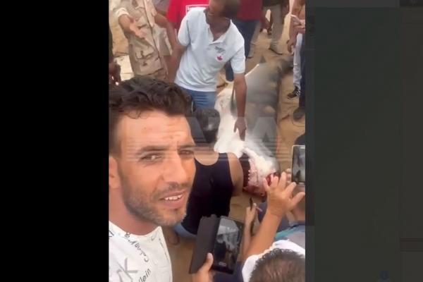 В Египте поймали акулу, которая убила россиянина - Фото 1