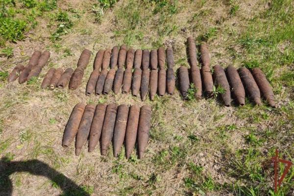 Уральские грибники обнаружили склад боеприпасов в лесу Березовского - Фото 1
