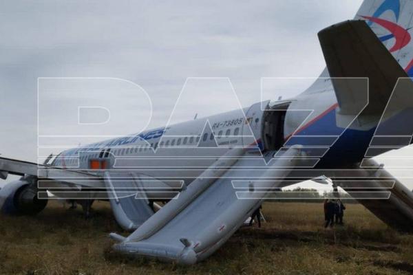 Подтвержден отказ гидросистем у приземлившегося в поле самолета - Фото 1