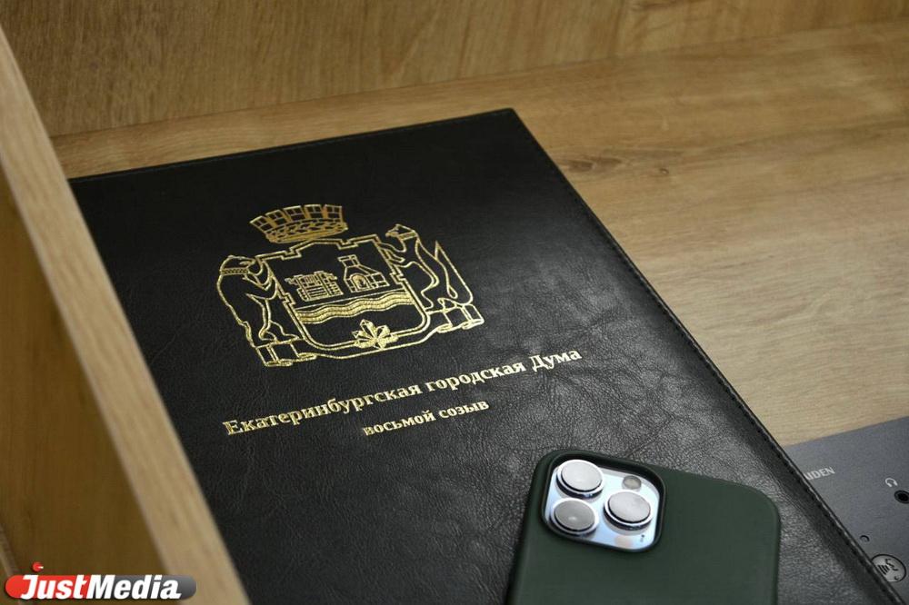 Избрание председателя ЕГД перенесено на следующее заседание - Фото 1