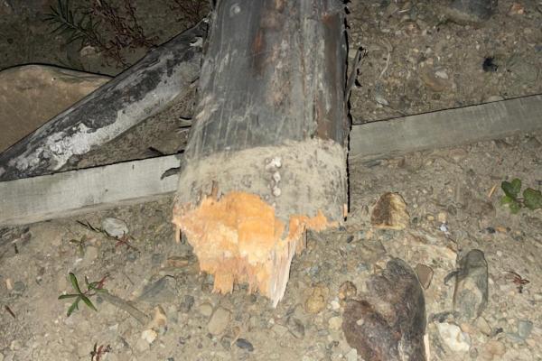 В Карпинске на участке по добыче драгметаллов скончался 39-летний электромонтер - Фото 1