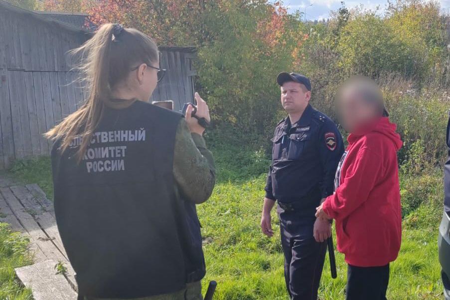 В Свердловской области 64-летняя женщина ударила ножом в грудь своего сожителя - Фото 1