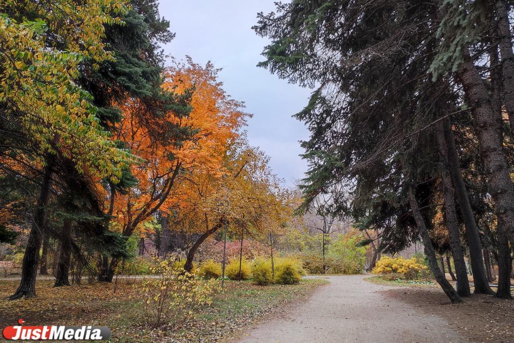 В выходные в Екатеринбурге потеплеет до +23 градусов - Фото 1