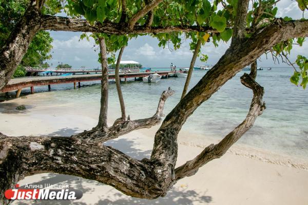 В Африке у 106 девушек парализовало ноги из-за неизвестной болезни - Фото 1