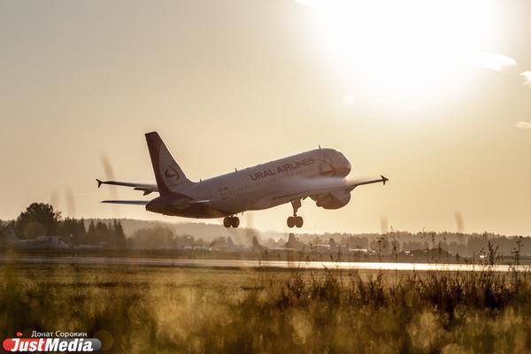 Уральский эксперт призвал туристов покинуть Израиль, пока там работают аэропорты - Фото 1