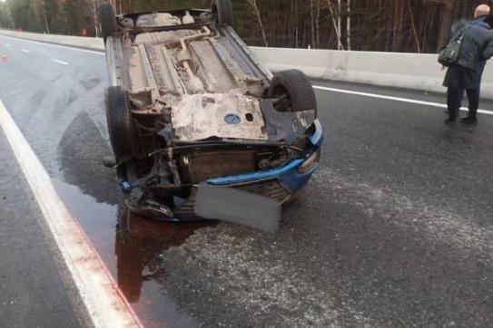 Лось спровоцировал массовое ДТП на Челябинском тракте - Фото 1