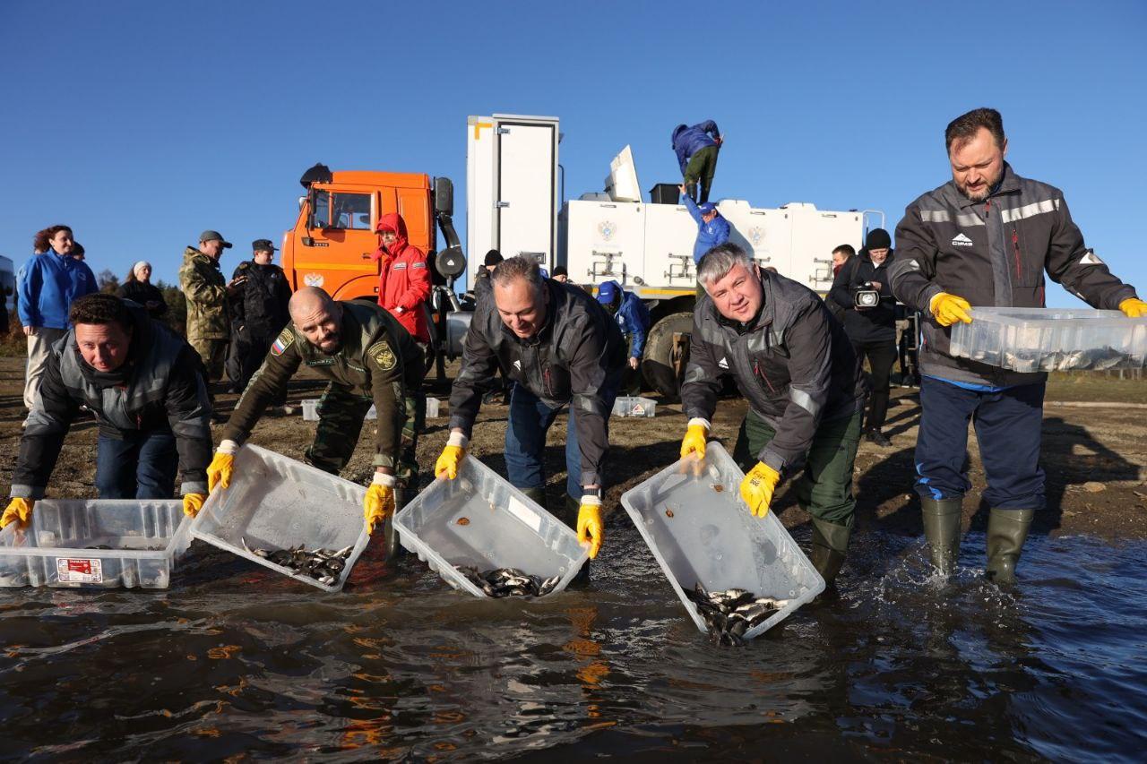 СУМЗ выпустил 10 тысяч сеголеток сазана в Новомариинское водохранилище - Фото 1