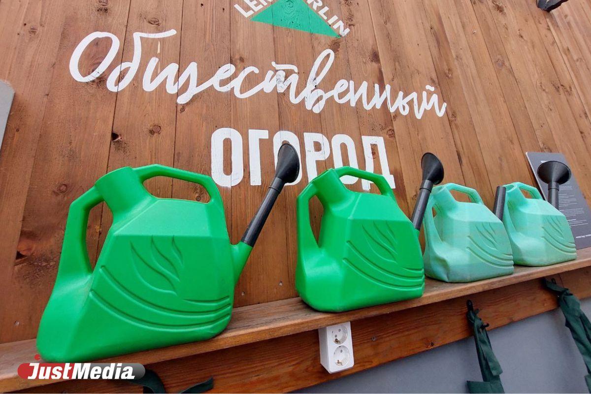 Общественный огород в Парке Маяковского увеличат из-за огромной очереди - Фото 1