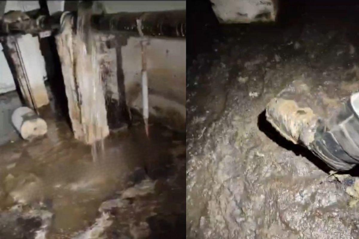 В подвале жилого дома на Эльмаше стоит болото из канализационных отходов - Фото 1