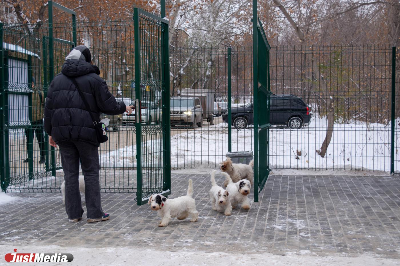 В Екатеринбурге нелегальную стоянку превратили в площадку для выгула собак - Фото 1