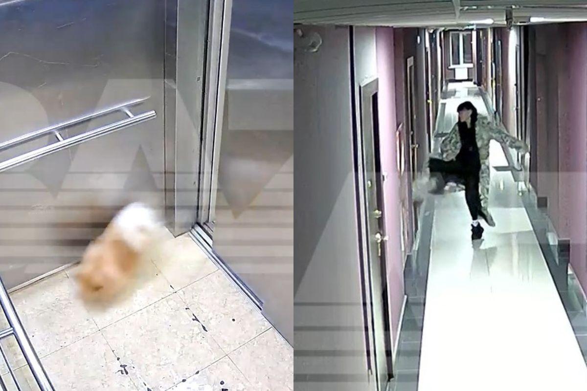 В Екатеринбурге девушка разбудила полдома из-за потерявшегося шпица - Фото 1